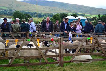 Ravenstonedale agricultural show 2012