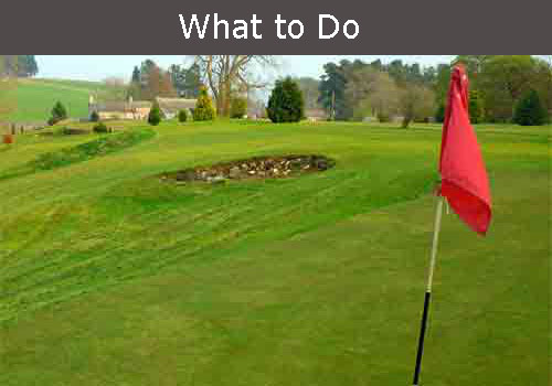 what to do in ravenstonedale