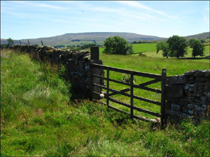 Ravenstonedale in 2006