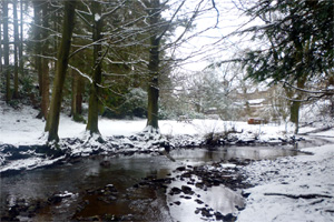 Ravenstonedale in 2010